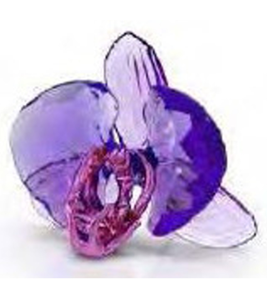 S5669354 - Idyllia SCS Orchid Petal - 2024