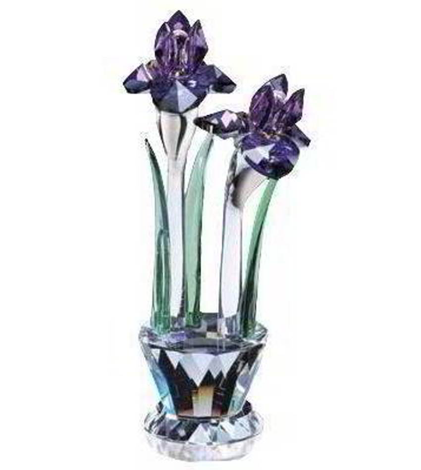 CW1073 - Iris