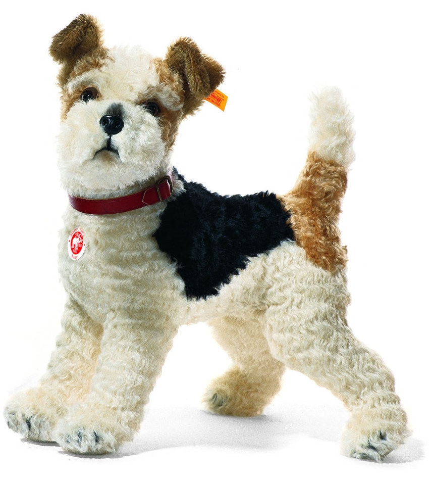 ST031717 - Foxy Fox Terrier