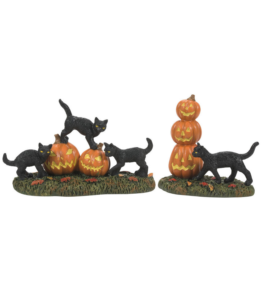 DT6012285 - Scary Cats & Pumpkins