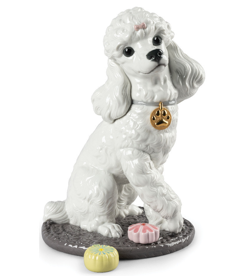 L9472 - Poodle with mochis