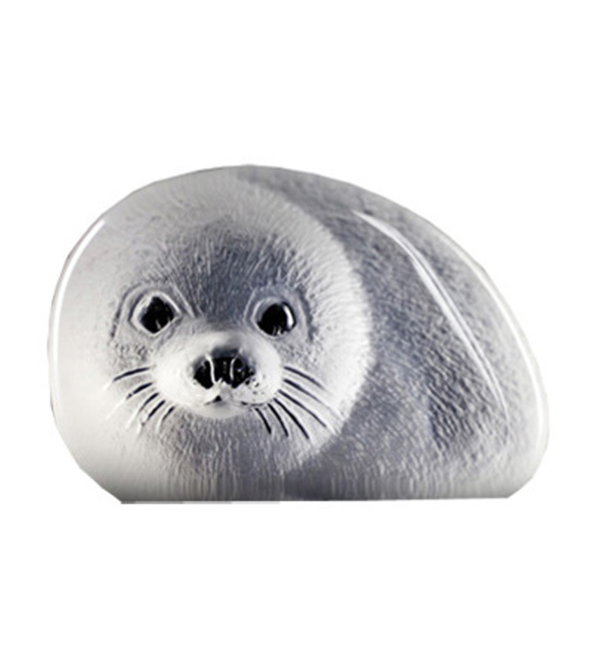 MJ33303 - Baby Seal