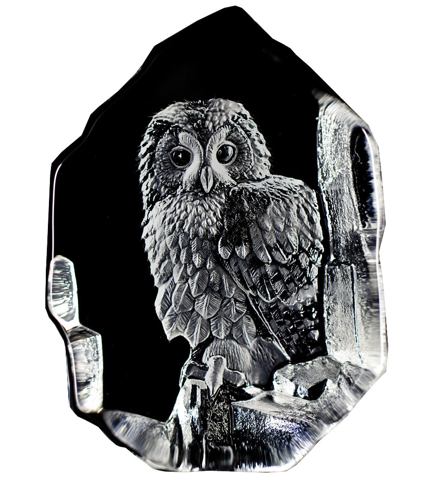 MJ33602 - Tawny Owl