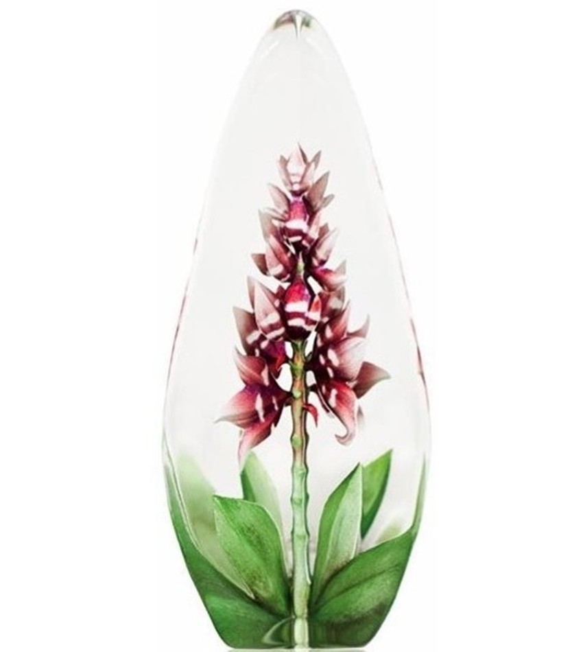 MJ33819 - Orchid, Red