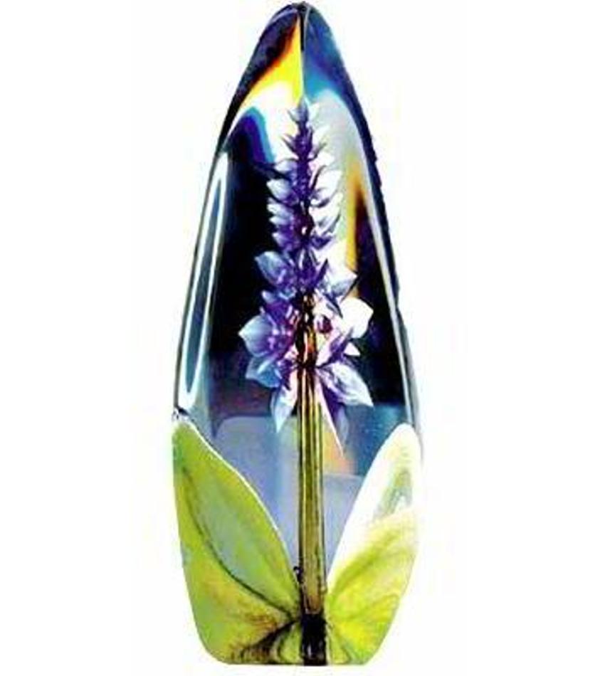 MJ33820 - Orchid, Purple