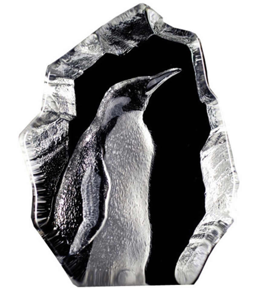 MJ33845 - Emperor Penguin