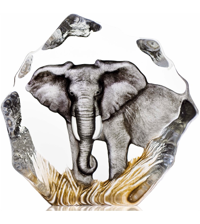 MJ33907 - Elephant