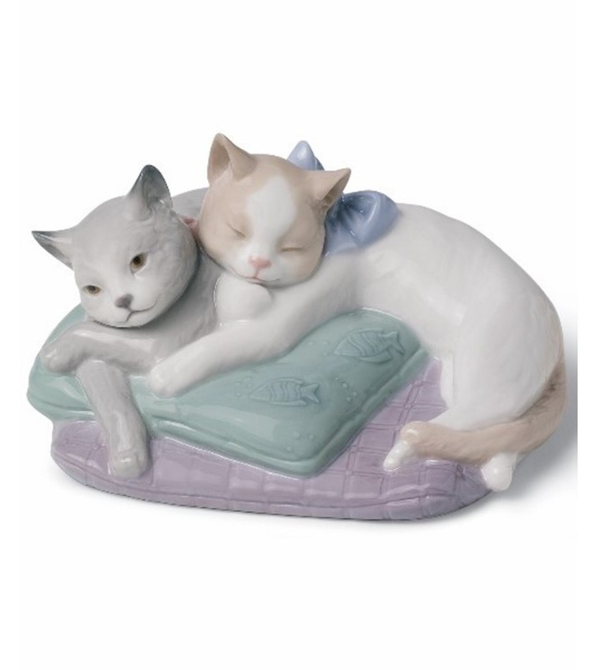 NAO1578 - Snuggle Cats