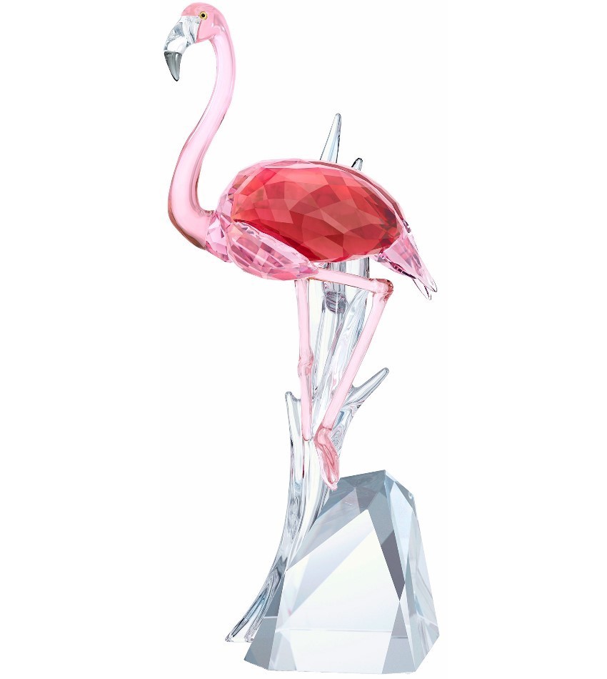 S5302529 - Flamingo