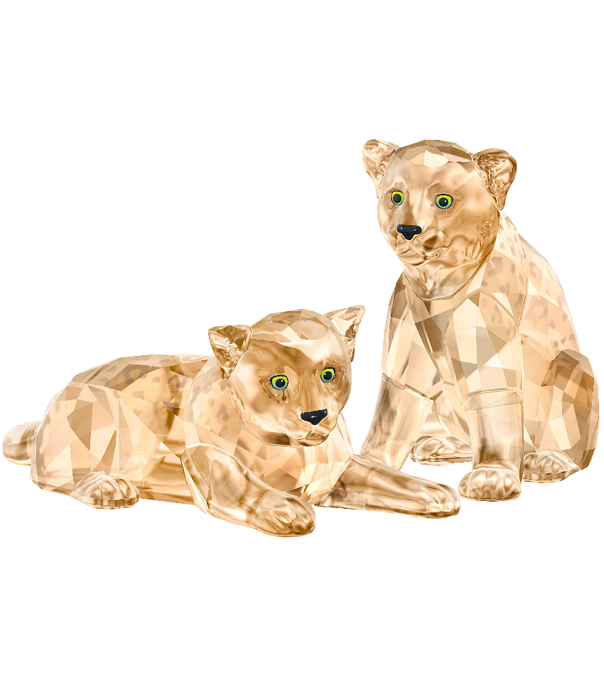 S5428542 - Leopard Cubs