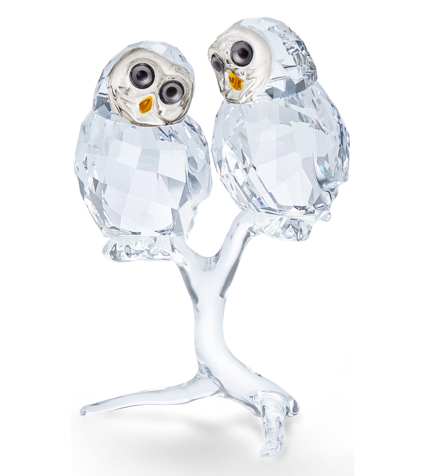 S5493722 - Owl Couple